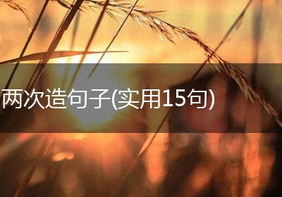 两次造句子(实用15句)