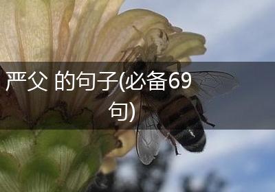 严父 的句子(必备69句)