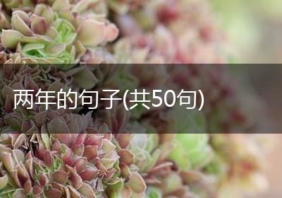 两年的句子(共50句)