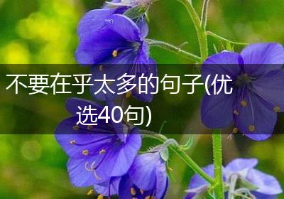 不要在乎太多的句子(优选40句)