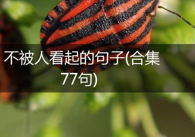 不被人看起的句子(合集77句)