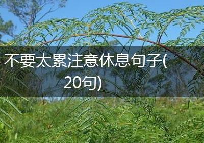 不要太累注意休息句子(20句)