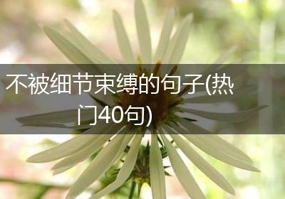 不被细节束缚的句子(热门40句)