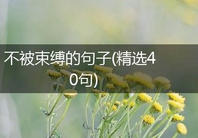 不被束缚的句子(精选40句)