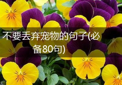 不要丢弃宠物的句子(必备80句)