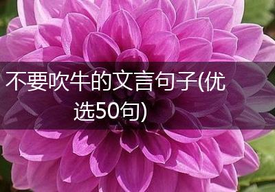 不要吹牛的文言句子(优选50句)