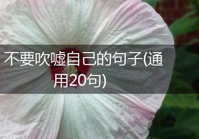 不要吹嘘自己的句子(通用20句)