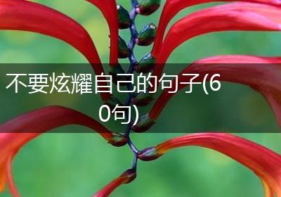 不要炫耀自己的句子(60句)