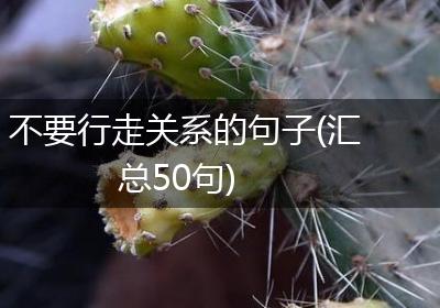 不要行走关系的句子(汇总50句)