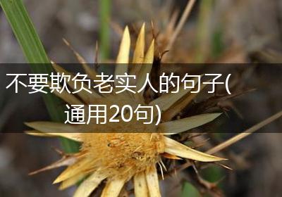 不要欺负老实人的句子(通用20句)