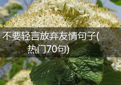 不要轻言放弃友情句子(热门70句)
