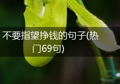 不要指望挣钱的句子(热门69句)