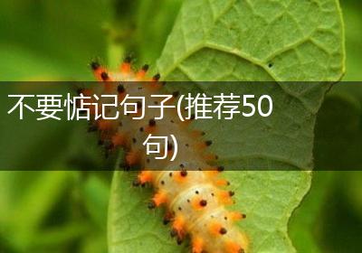 不要惦记句子(推荐50句)