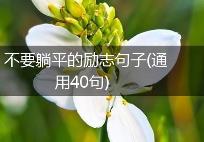 不要躺平的励志句子(通用40句)