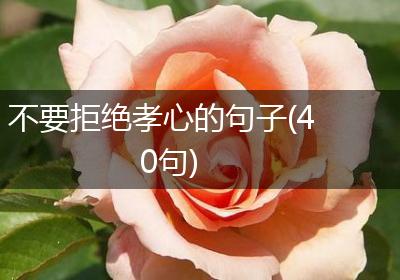 不要拒绝孝心的句子(40句)