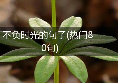 不负时光的句子(热门80句)