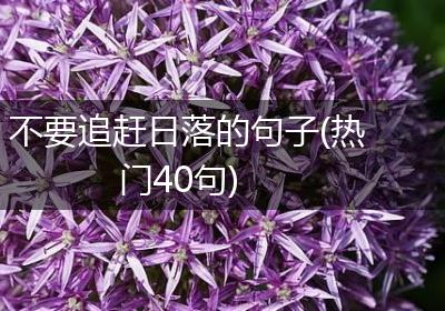 不要追赶日落的句子(热门40句)