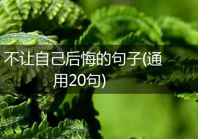不让自己后悔的句子(通用20句)