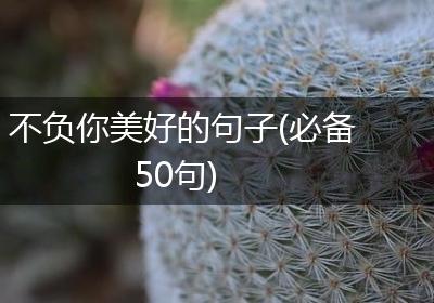 不负你美好的句子(必备50句)