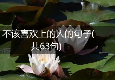 不该喜欢上的人的句子(共63句)