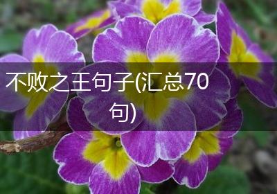 不败之王句子(汇总70句)