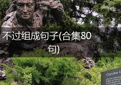 不过组成句子(合集80句)