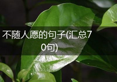 不随人愿的句子(汇总70句)