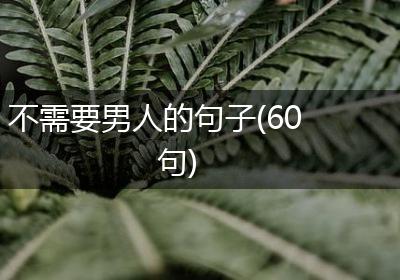 不需要男人的句子(60句)