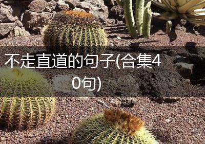 不走直道的句子(合集40句)
