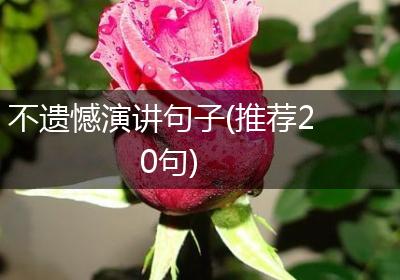 不遗憾演讲句子(推荐20句)
