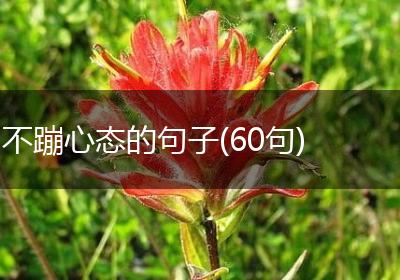 不蹦心态的句子(60句)