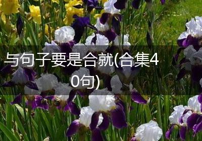 与句子要是合就(合集40句)