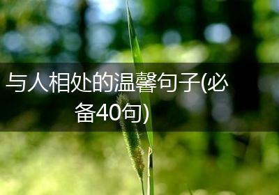 与人相处的温馨句子(必备40句)