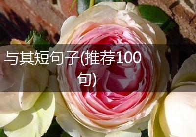 与其短句子(推荐100句)