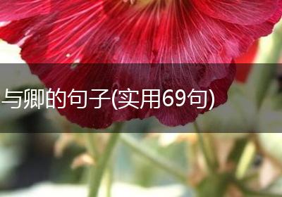 与卿的句子(实用69句)