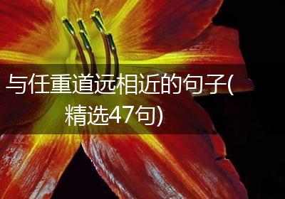 与任重道远相近的句子(精选47句)
