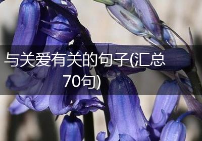 与关爱有关的句子(汇总70句)
