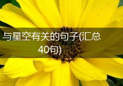 与星空有关的句子(汇总40句)