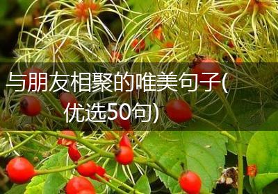 与朋友相聚的唯美句子(优选50句)