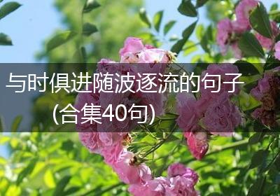 与时俱进随波逐流的句子(合集40句)