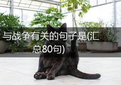 与战争有关的句子是(汇总80句)