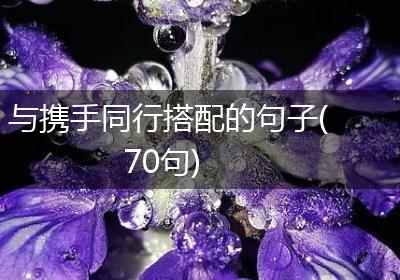 与携手同行搭配的句子(70句)