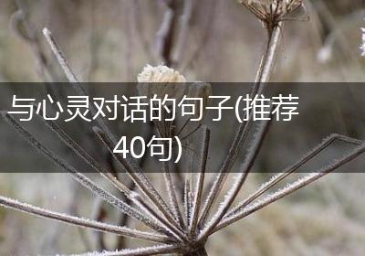 与心灵对话的句子(推荐40句)