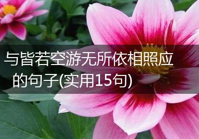 与皆若空游无所依相照应的句子(实用15句)