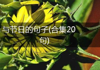 与节日的句子(合集20句)