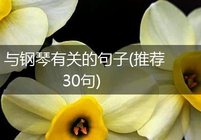 与钢琴有关的句子(推荐30句)