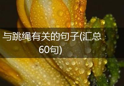与跳绳有关的句子(汇总60句)