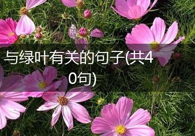 与绿叶有关的句子(共40句)