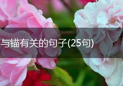 与锚有关的句子(25句)
