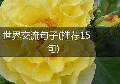 世界交流句子(推荐15句)
